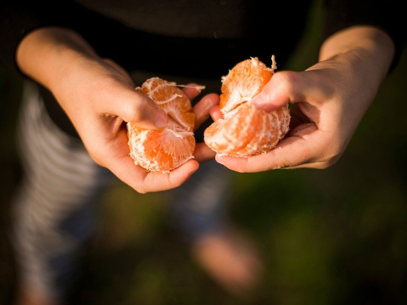 Fruit of the Month - Mandarins